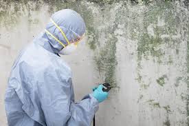 Best Airborne Mold Testing  in USA